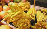 Cách chọn phật thủ tài lộc chưng Tết
