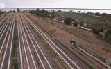 Australia: Bạt nhựa sinh học đầu tiên có thể tự phân hủy 