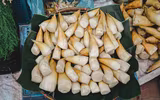 Măng tre có lượng protein tương tự sữa bò, ngừa ung thư