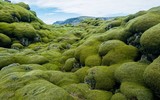 Dòng nham thạch có một không hai của Iceland