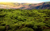 Dòng nham thạch có một không hai của Iceland