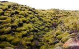 Dòng nham thạch có một không hai của Iceland