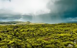 Dòng nham thạch có một không hai của Iceland