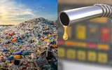 Biến 20.000 tấn rác thải nhựa thành dầu thô