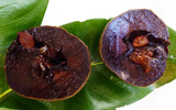 Độc đáo socola mọc trên cây thơm ngon hấp dẫn