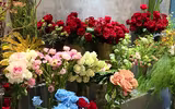 Nhiều quà tặng Valentine bắt mắt thu hút giới trẻ