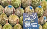 Loại sầu riêng mới gây sốt với giá gần 800.000 đồng/kg 