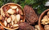 Nhiều loại thực phẩm nên ăn tốt cho người thiếu máu