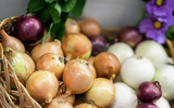 Thực phẩm có thể giúp ngăn ngừa tắc nghẽn động mạch