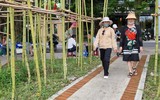 Rừng trúc thu nhỏ nằm giữa lòng Hà Nội