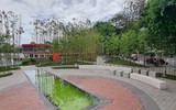 Rừng trúc thu nhỏ nằm giữa lòng Hà Nội