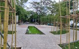 Rừng trúc thu nhỏ nằm giữa lòng Hà Nội