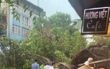 Cơn mưa giông chiều nay làm hàng loạt cây đổ, nhiều ô tô bị bẹp