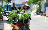 [ẢNH] 1.001 cách chống nóng “bá đạo” của người Việt