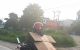 [ẢNH] 1.001 cách chống nóng “bá đạo” của người Việt