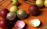 Nhãn tím giá cao gấp 5 lần nhãn thường vẫn không có để mua