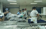 [ẢNH] Triệu trái tim cả nước hướng về Thành phố Hồ Chí Minh chống dịch Covid-19