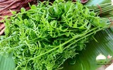[ẢNH] Vì sao giá 200.000 đồng/kg, rau ‘trường sinh’ vẫn được người Hà Nội săn lùng?