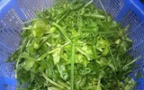 [ẢNH] Vì sao giá 200.000 đồng/kg, rau ‘trường sinh’ vẫn được người Hà Nội săn lùng?