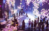 [ẢNH] Lý do một bảo tàng ở Nhật Bản được ghé thăm nhiều nhất thế giới