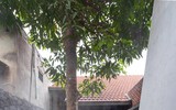 [ẢNH] Ngôi nhà gạch Sơn La lên tạp chí kiến trúc hàng đầu thế giới