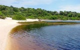 [ẢNH] Kỳ lạ hồ nước có màu Coca Cola ở Brazil