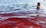 [ẢNH] Kỳ lạ hồ nước có màu Coca Cola ở Brazil