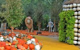 Ngôi làng cổ tích được làm từ 90.000 quả bí ngô để chào đón lễ hội Halloween