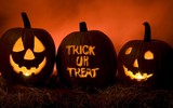 Vì sao ngày lễ Halloween luôn gắn với quả bí ngô khoét ruột?