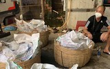 Liên tiếp phát hiện xe 'luồng xanh' vận chuyển ma túy