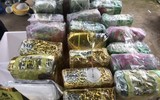 Liên tiếp phát hiện xe 'luồng xanh' vận chuyển ma túy