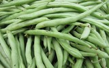 Cảnh giác với những loại rau quả ngậm thuốc trừ sâu, hóa chất độc hại bán ngoài chợ