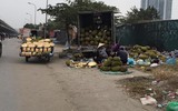 Tắc cửa khẩu, mít Thái tràn vỉa hè Hà Nội chờ 'giải cứu'