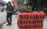 Tắc cửa khẩu, mít Thái tràn vỉa hè Hà Nội chờ 'giải cứu'