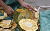 Tắc cửa khẩu, mít Thái tràn vỉa hè Hà Nội chờ 'giải cứu'