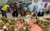 Tắc cửa khẩu, mít Thái tràn vỉa hè Hà Nội chờ 'giải cứu'
