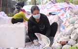 Phật thủ được mùa trúng giá, nông dân vui mừng thương lái hào hứng