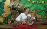 Độc đáo trại hổ Sriracha Tiger Zoo - lớn nhất châu Á