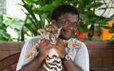 Độc đáo trại hổ Sriracha Tiger Zoo - lớn nhất châu Á