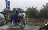 Người dân đội mưa trở lại thành phố sau kỳ nghỉ Tết Nhâm Dần