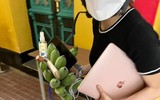 Những chiếc túi xách 'có một không hai' của nhân viên di tích Nhà tù Hỏa Lò