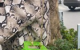 Những chiếc túi xách 'có một không hai' của nhân viên di tích Nhà tù Hỏa Lò
