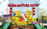 Độc lạ linh vật mèo đón Tết Quý Mão trên cả nước