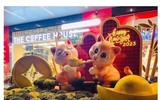 Độc lạ linh vật mèo đón Tết Quý Mão trên cả nước
