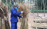 Những 'kiến trúc sư' còn sót lại của nhà dài Ê-đê