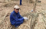 Những 'kiến trúc sư' còn sót lại của nhà dài Ê-đê