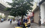 Hà Nội: Bất chấp nguy hiểm đi ngược chiều, nhiều người nhận phiếu phạt từ CSGT