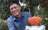 Bưởi đỏ 'tiến Vua' được nhiều người đặt mua trưng bày dịp Tết