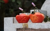 Bưởi đỏ 'tiến Vua' được nhiều người đặt mua trưng bày dịp Tết