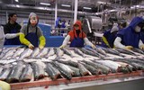 Xung đột Nga-Ukraine: Hải sản Nga tìm cách vượt rào vào Mỹ